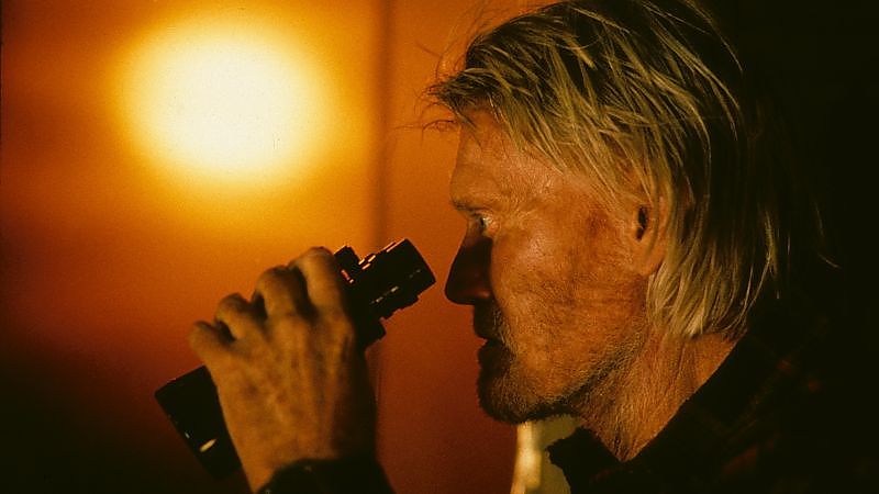 ARTHAUS Salmonberries