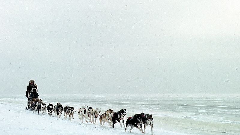 Salmonberries - Film-Still
