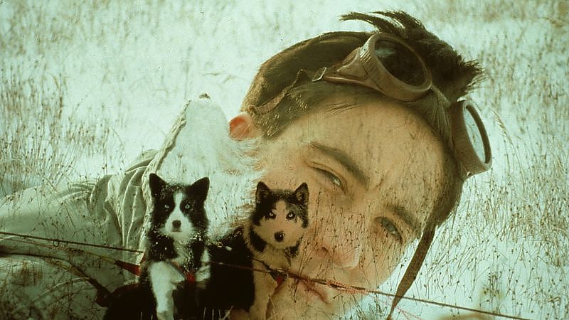 Salmonberries - Film-Still