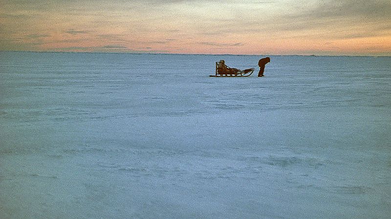 Salmonberries - Film-Still