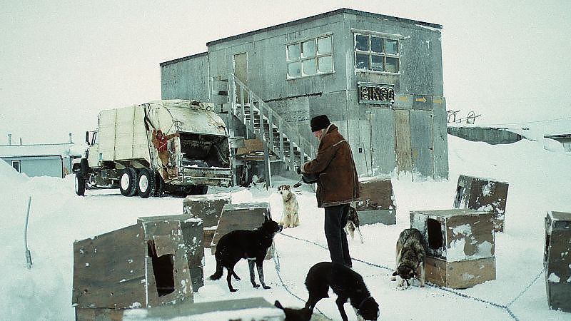 Salmonberries - Film-Still
