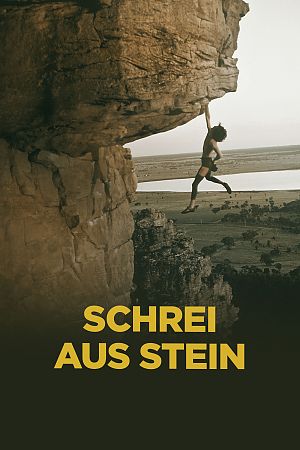 Cover zu Schrei aus Stein