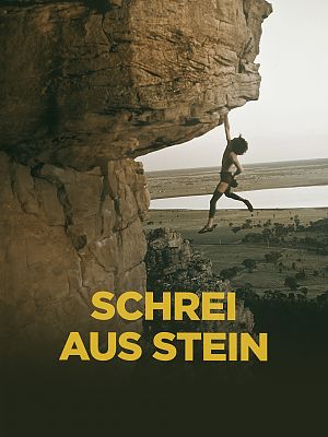Cover zu Schrei aus Stein