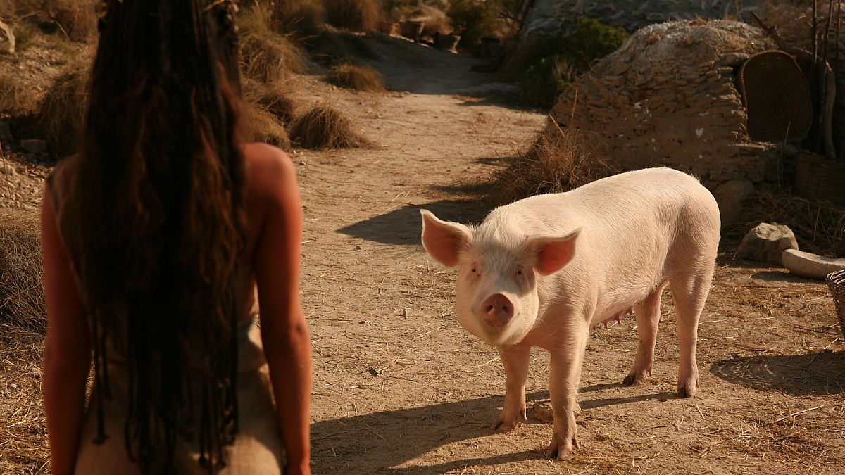 Seine Majestät das Schwein - Film-Still