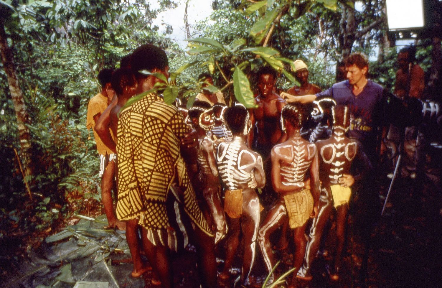 Bild zu Sirga - Die Löwin