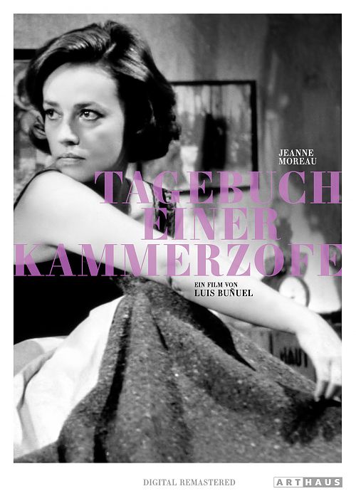 Cover zu Tagebuch einer Kammerzofe