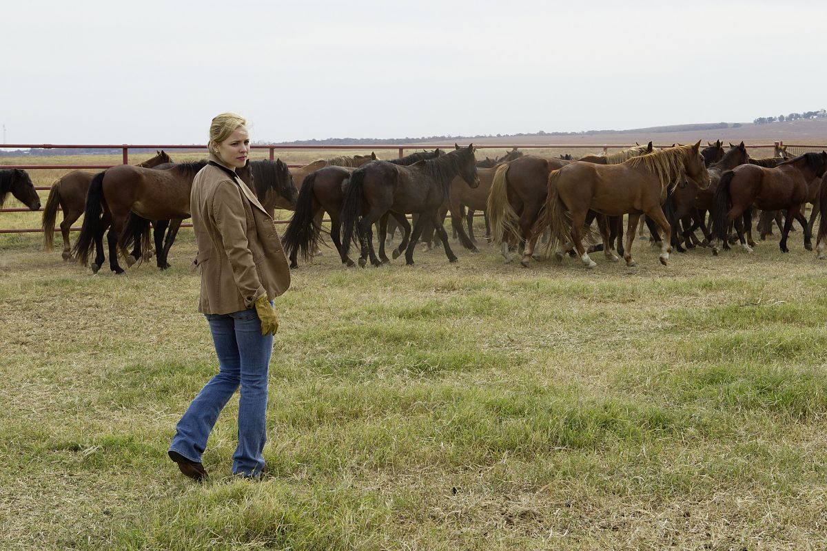 Terrence Malick Collection - Film-Still