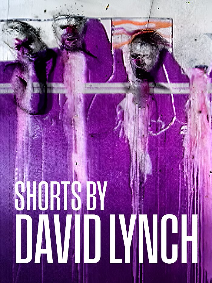 Cover zu The Short Films of David Lynch