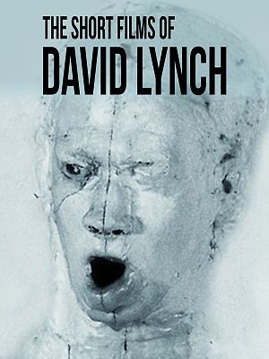 Cover The Short Films of David Lynch