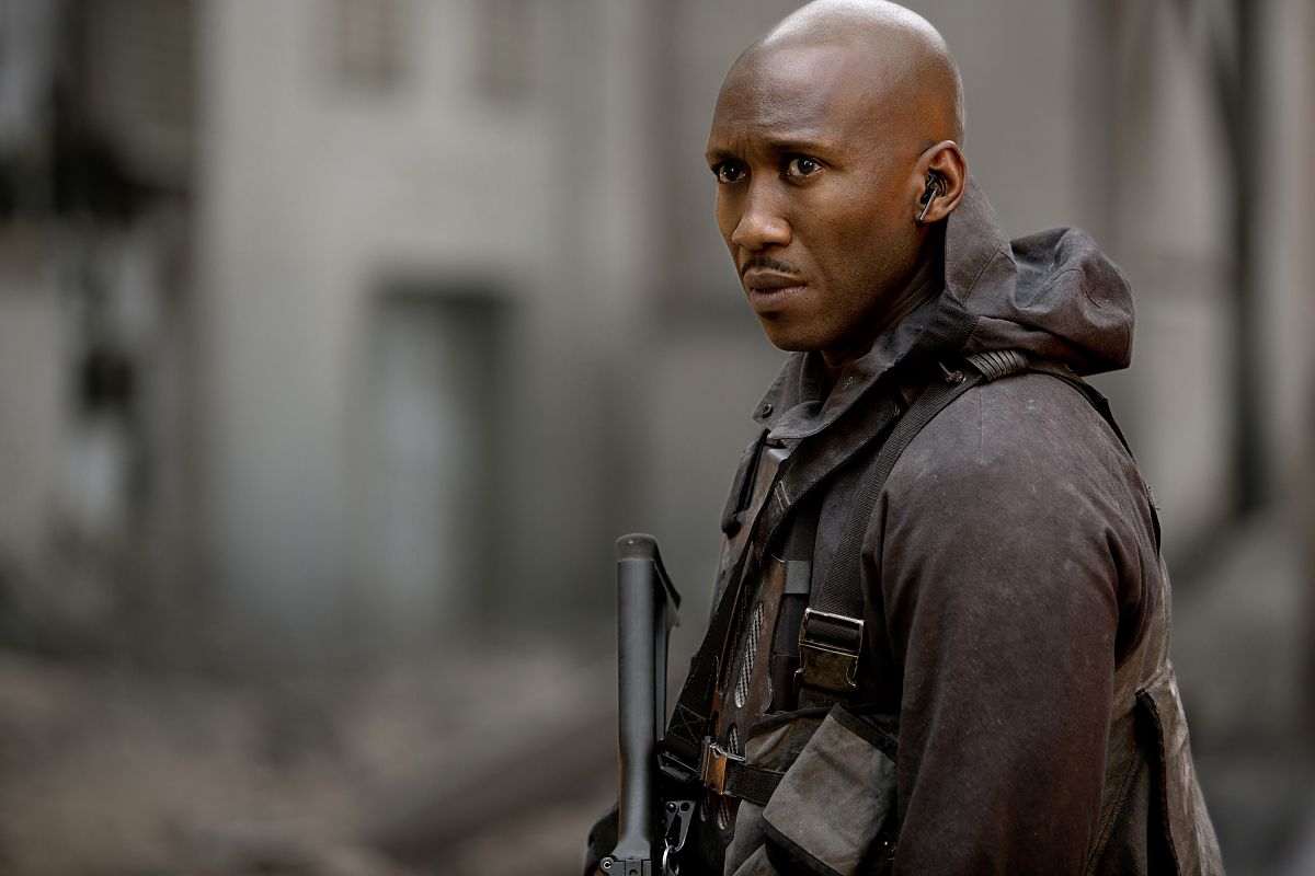 Die Tribute von Panem - Mockingjay Teil 1 - Film-Still