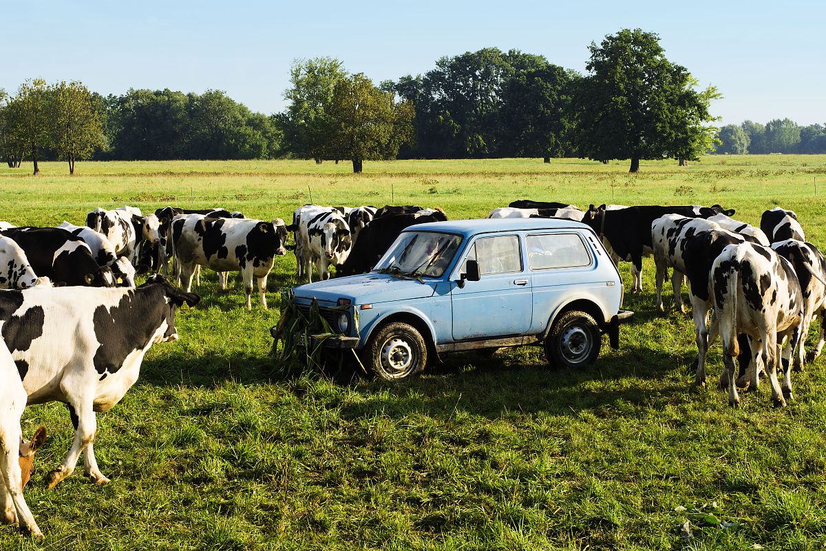 Tschick - Film-Still