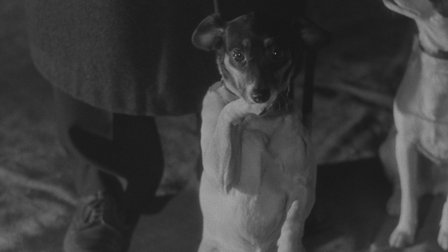 Bild zu Unter Falschem Verdacht