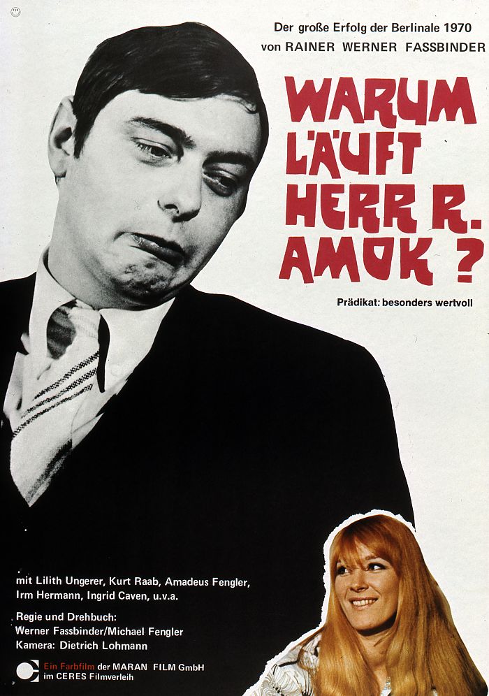 Cover zu Warum läuft Herr R. Amok?