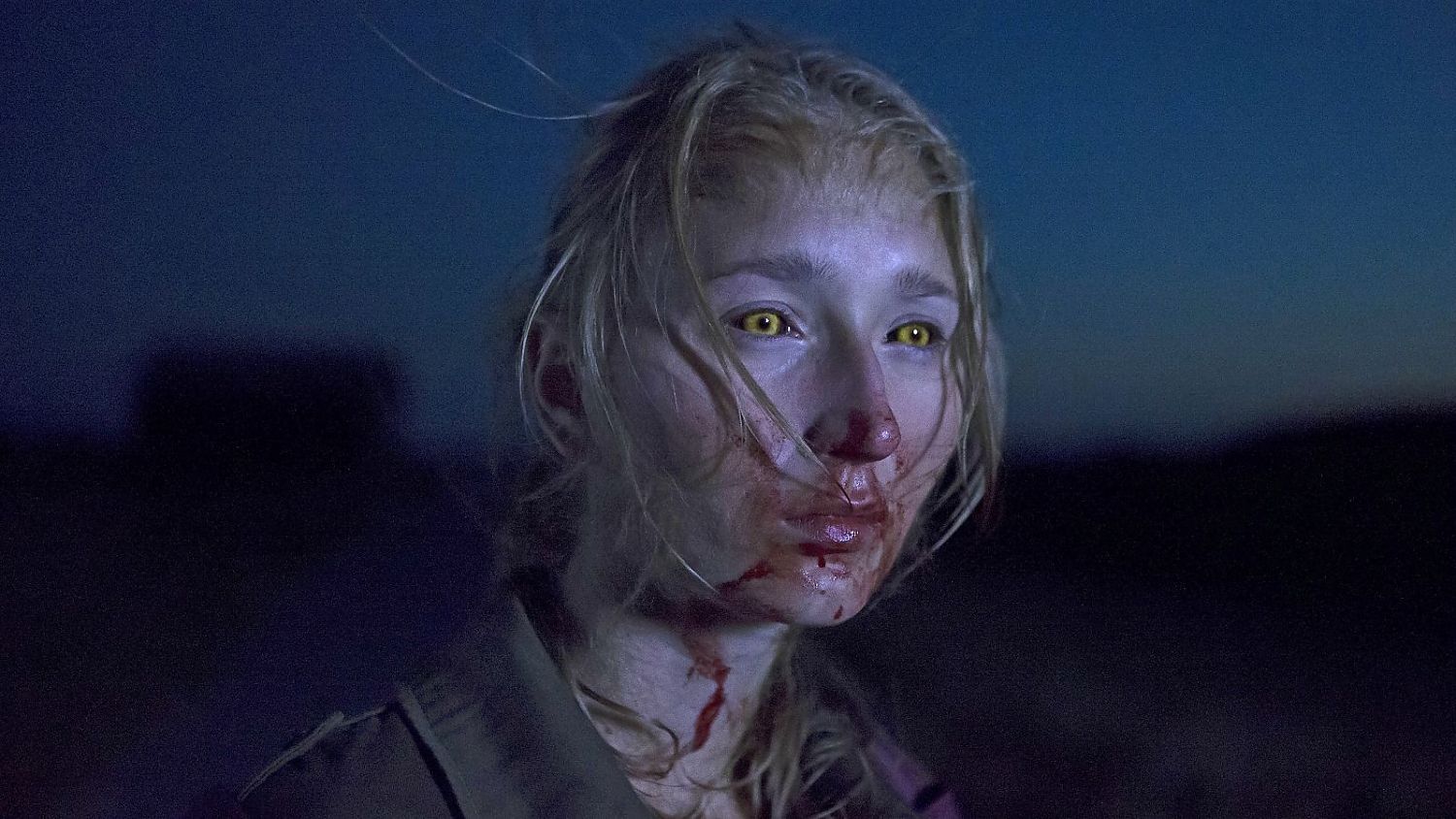 Bild zu When Animals Dream