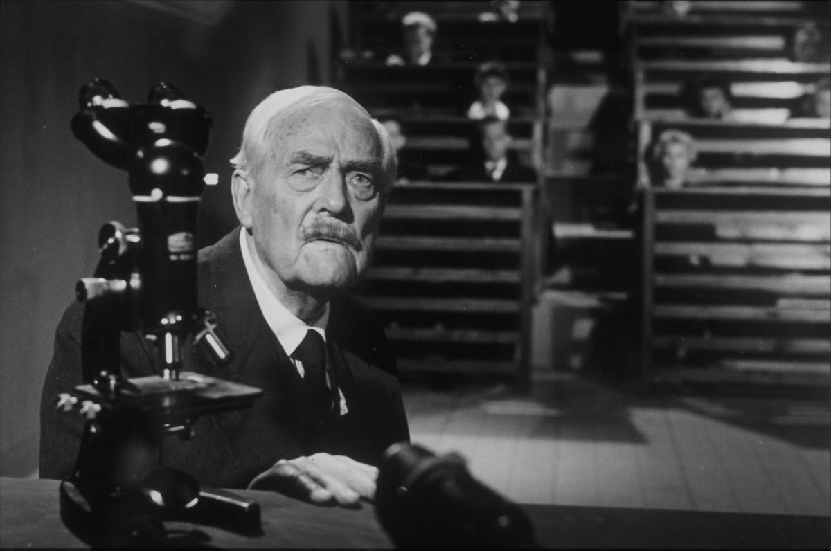 Wilde Erdbeeren - Film-Still