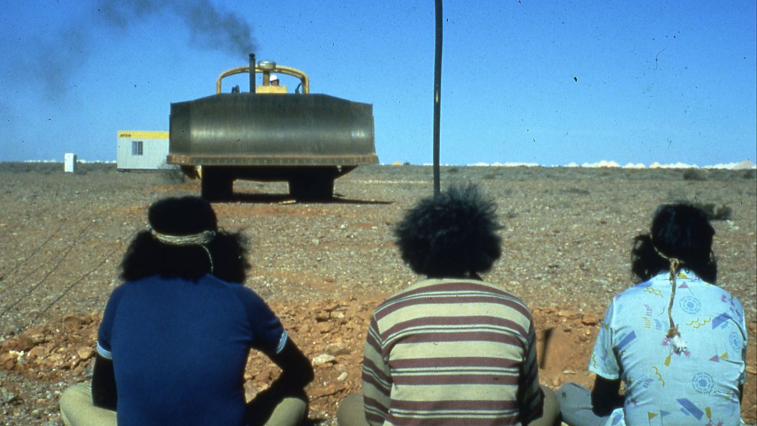 Bild zu Wo die grünen Ameisen träumen