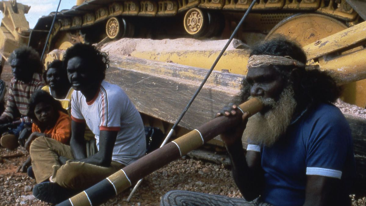 Wo die grünen Ameisen träumen - Film-Still