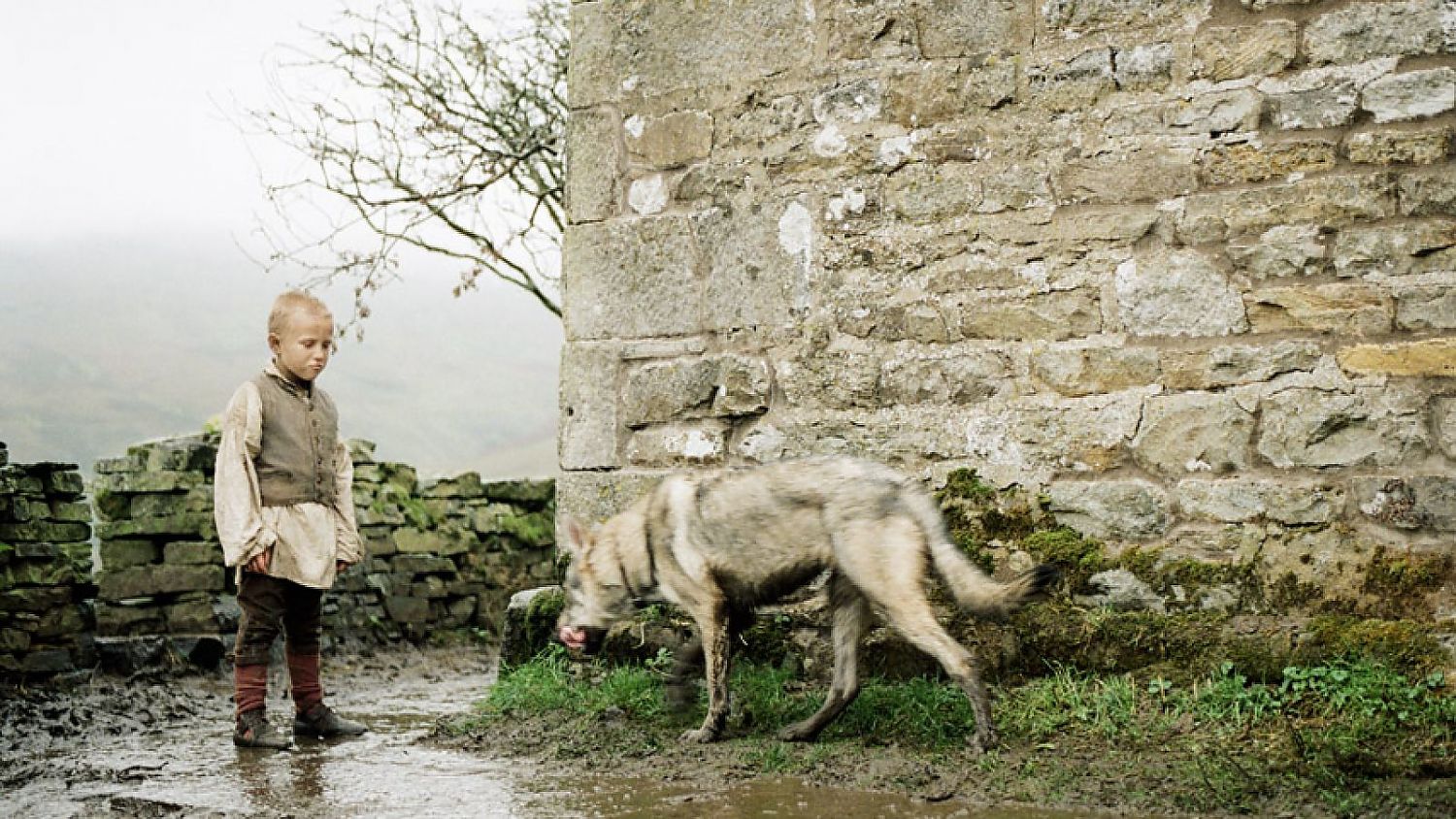 Bild zu Wuthering Heights